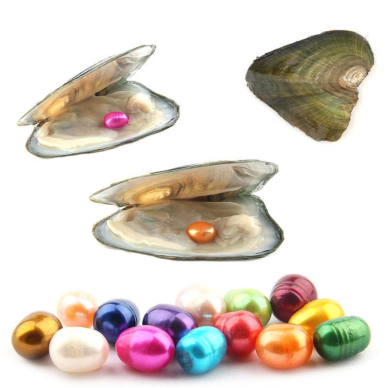 QSLLER 10PCS Freshwater Cultured Pearl Oyster with 7-8mm Oval Pearl(Inside 10pcs Random Colors Pearls) - Image 1
